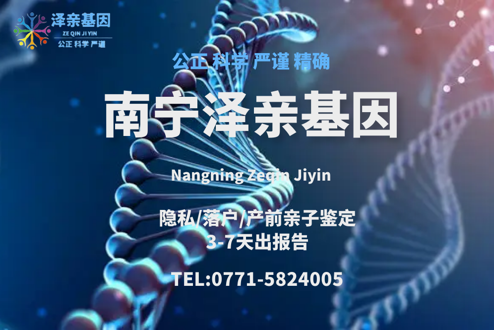 泽亲封面.png