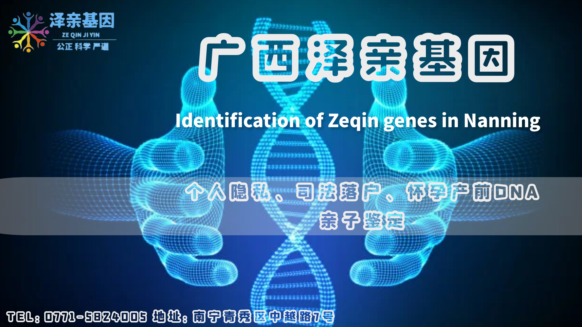 gx qin.png