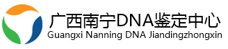 南宁DNA亲子鉴定中心官网-南宁亲子鉴定机构-广西亲子鉴定中心